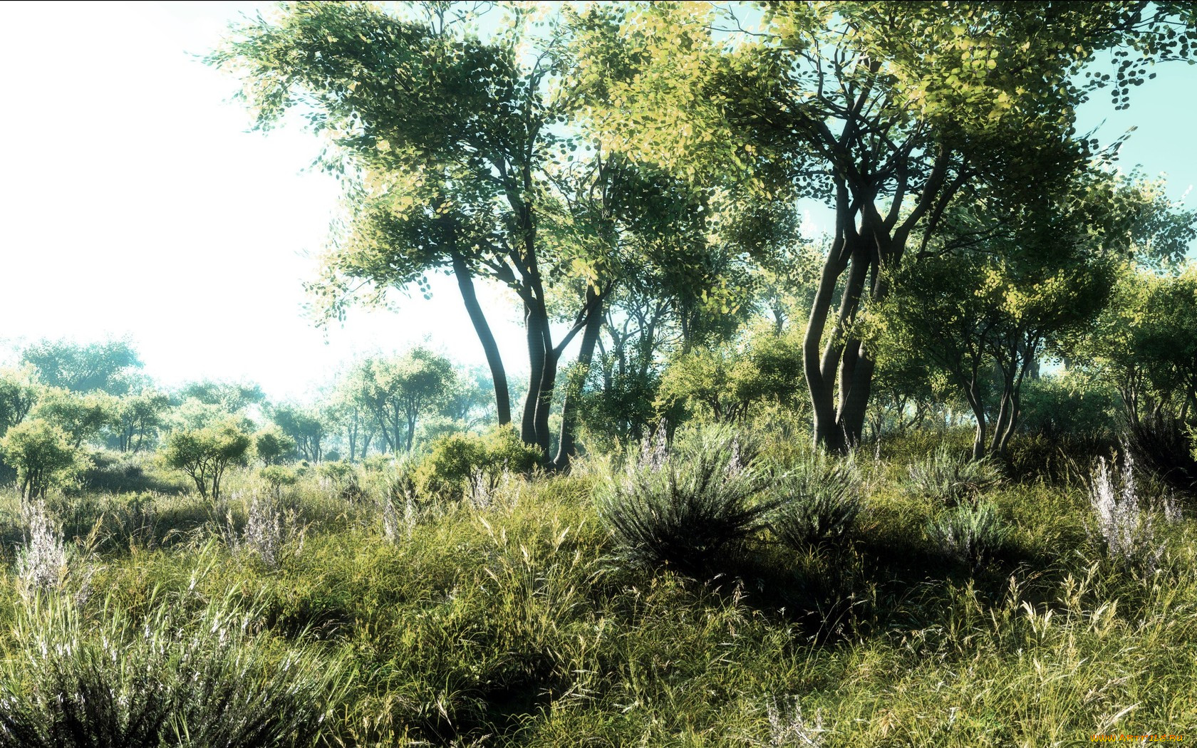 3, , nature, landscape, , , 